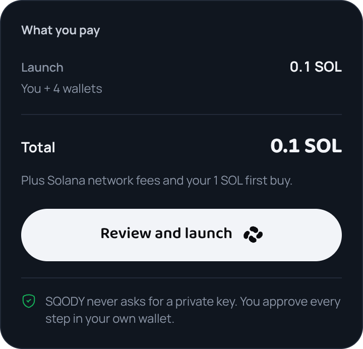 The cost summary listing the launch fee and the total
