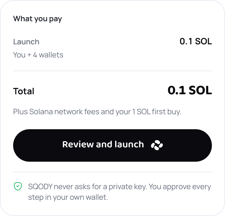 The cost summary listing the launch fee and the total